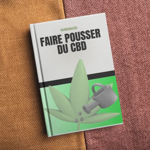 faire pousser du cbd