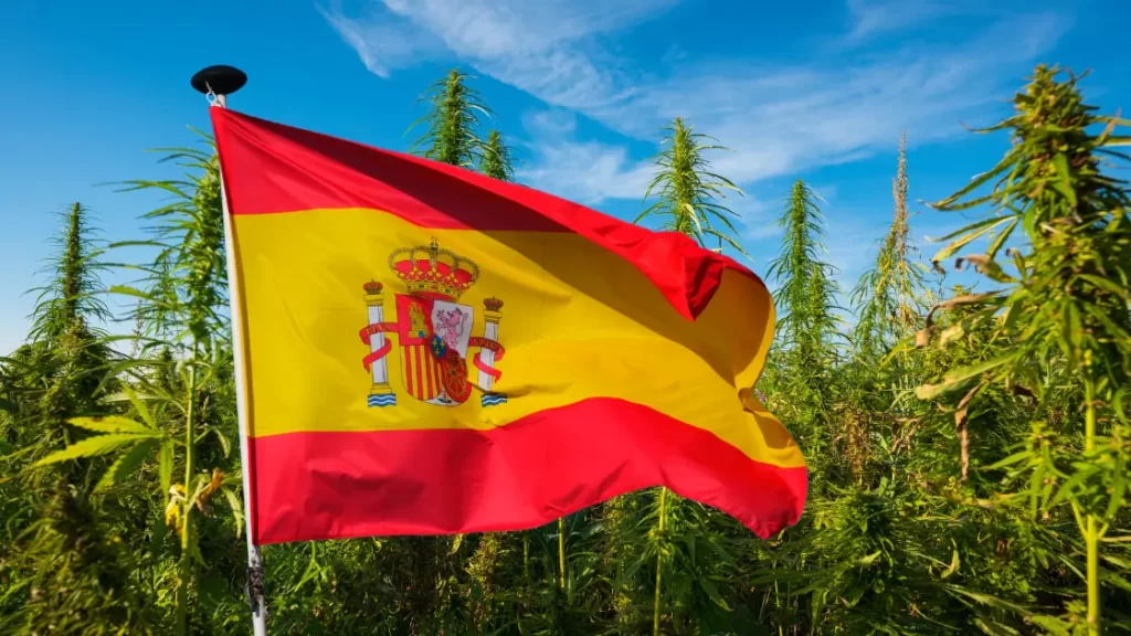 cbd espagne