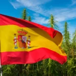 cbd espagne