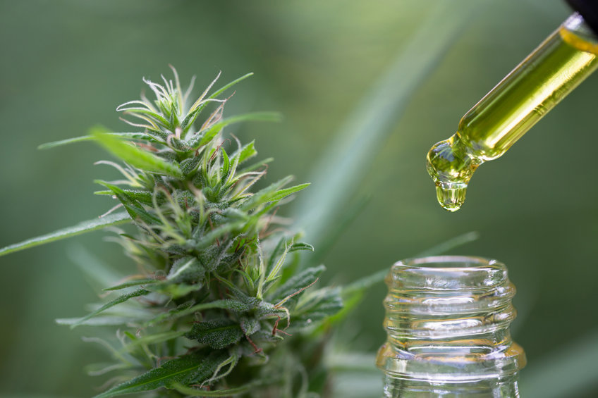 cbd huile